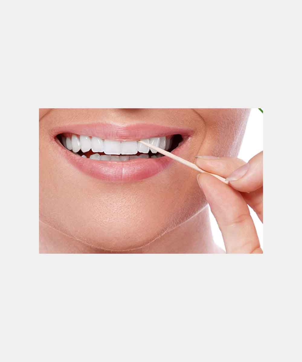 Tulips Sharp Wooden Toothpicks 350 Stick