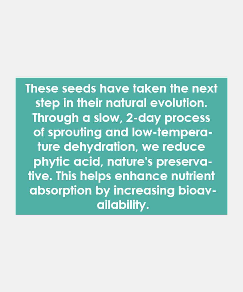 Sprouted Sunflower Seeds 200 Gm