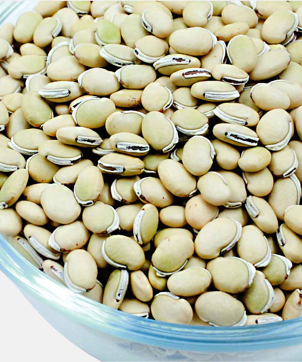 White Field Beans/Surti Vaal 500 Gm
