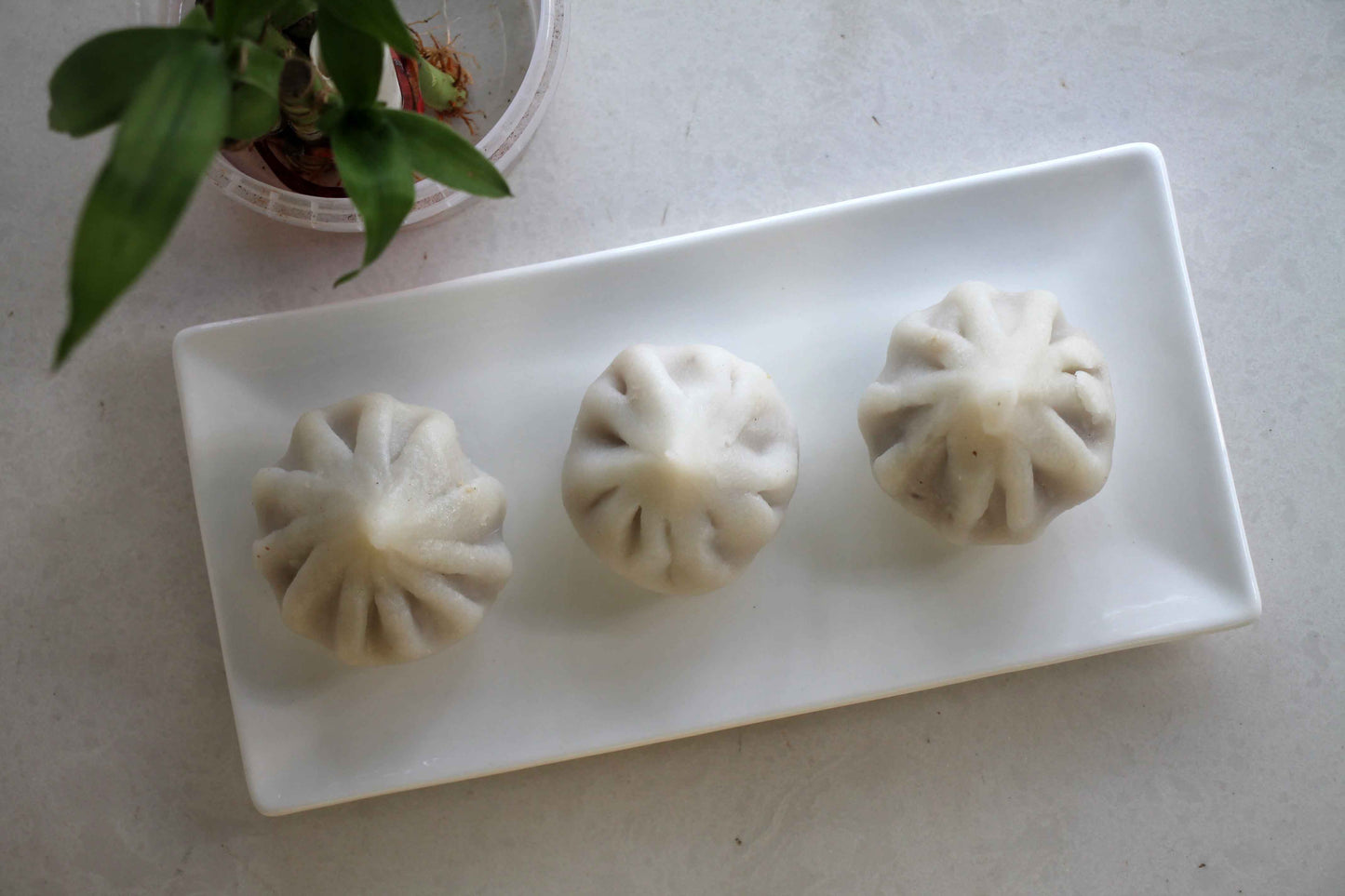 Modak Ukdiche 1 Piece