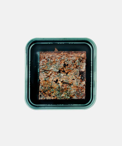 Yes I Dough Gooey Chocolate Brownie 1 Piece 95 Gm