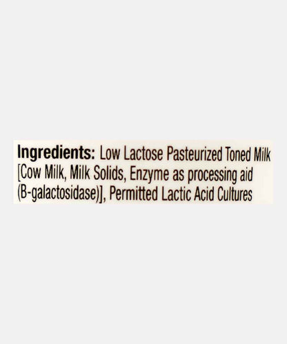 Epigamia Lactose Free Curd 400 Gm