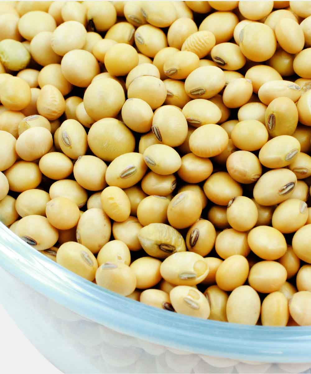 Soyabean/Soya Dana 500 Gm