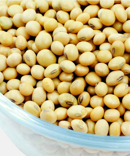 Soyabean/Soya Dana 500 Gm