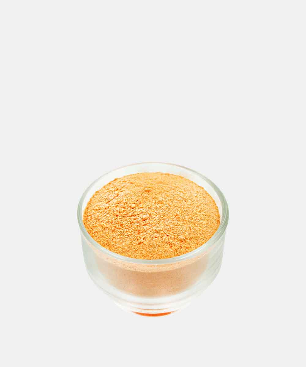 Cheddar Cheese Powder 100 Gm