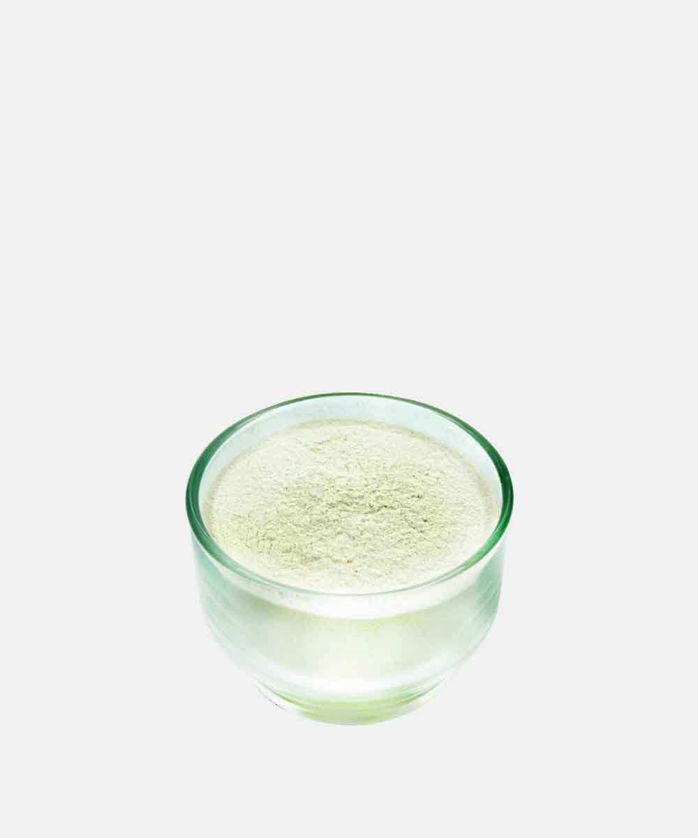 Onion Powder 100 Gm