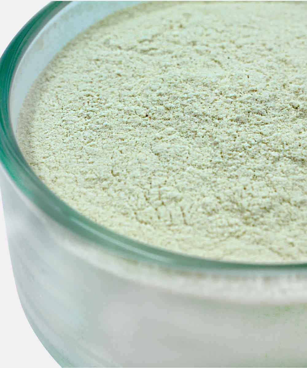 Onion Powder 100 Gm