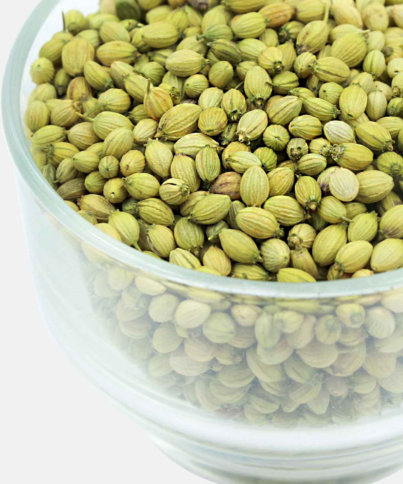 Whole Coriander/Dhania Seeds 100 Gm