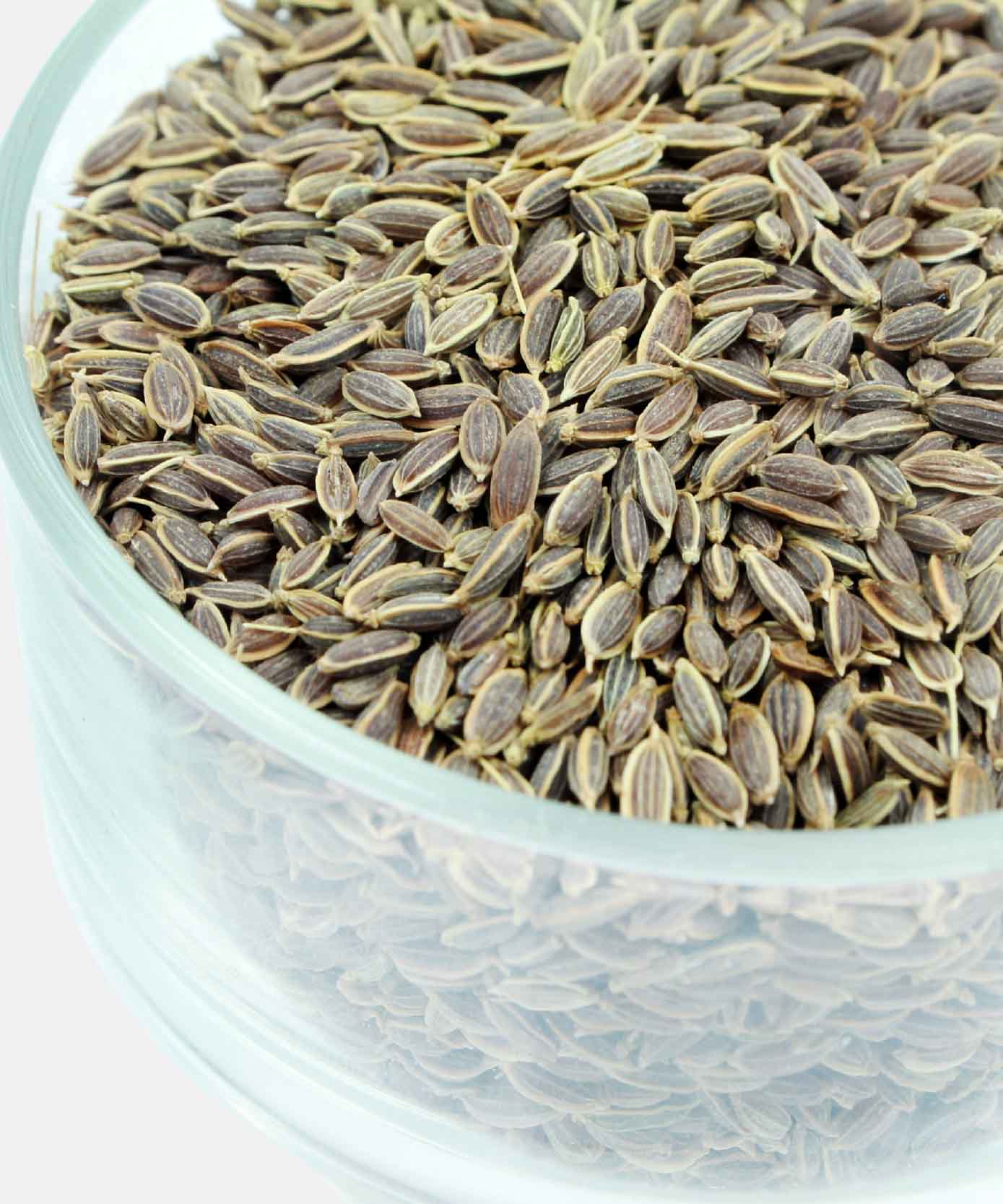 Aniseed Suwa Dill Seed 100 Gm