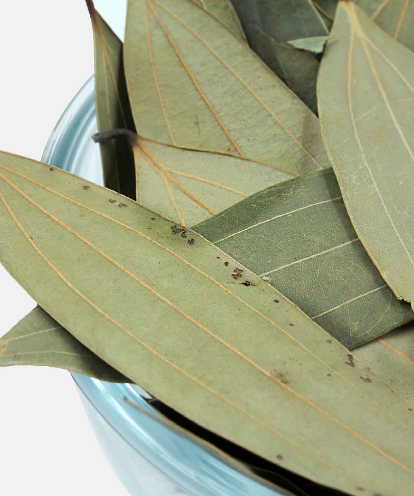 Bay Leaf/Tej Patta 20 Gm