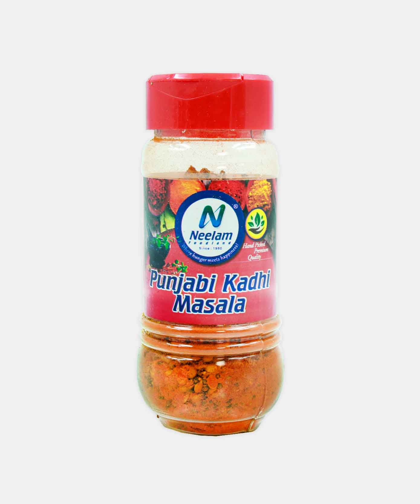 Punjabi Kadhi Masala 150 Gm