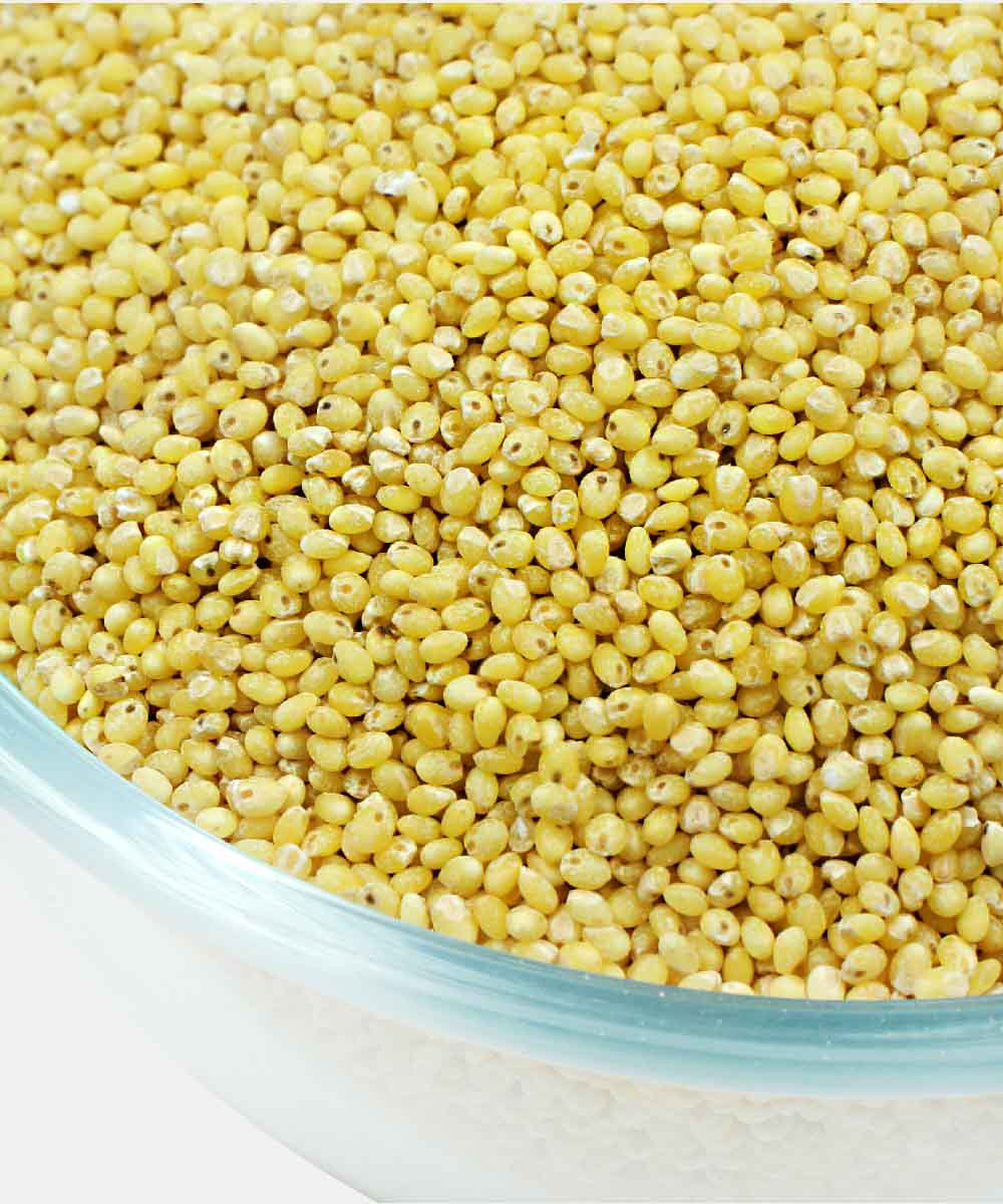 Proso Millet 500 Gm