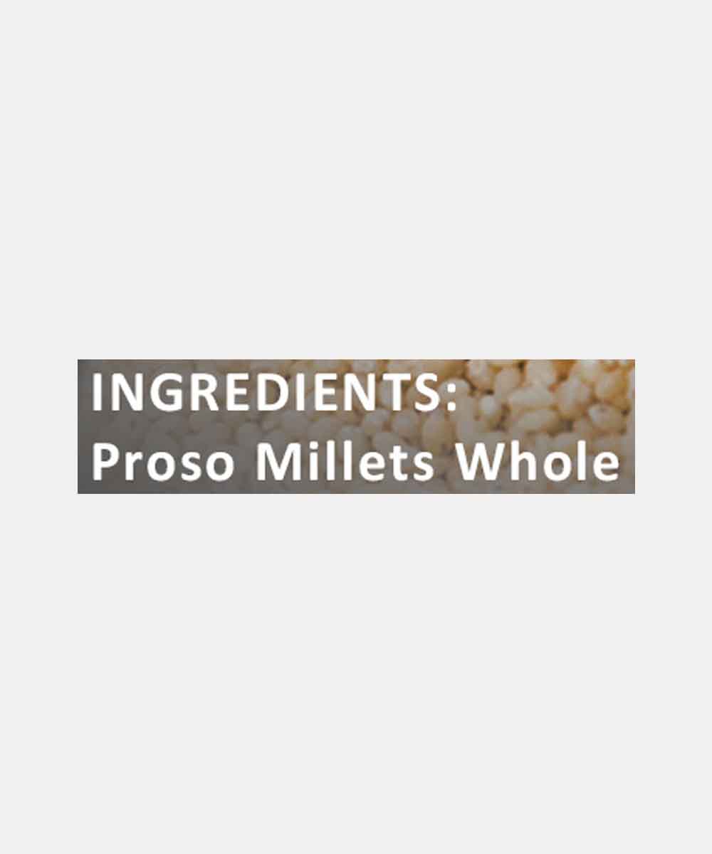 Proso Millet 500 Gm