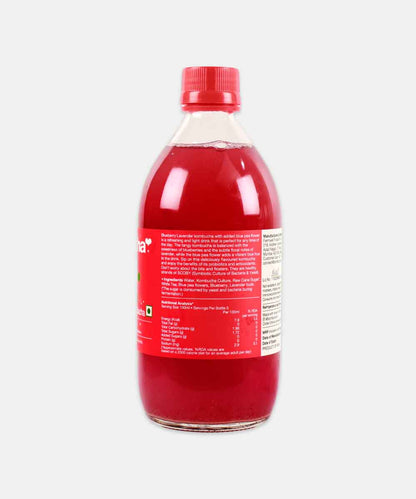 Bombucha Blueberry Lavender Kombucha Probiotic Sparkling Fermented Tea 500 Ml