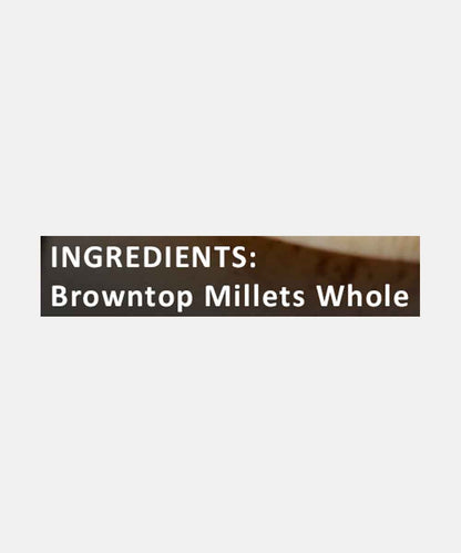 Brown Top Millet 500 Gm