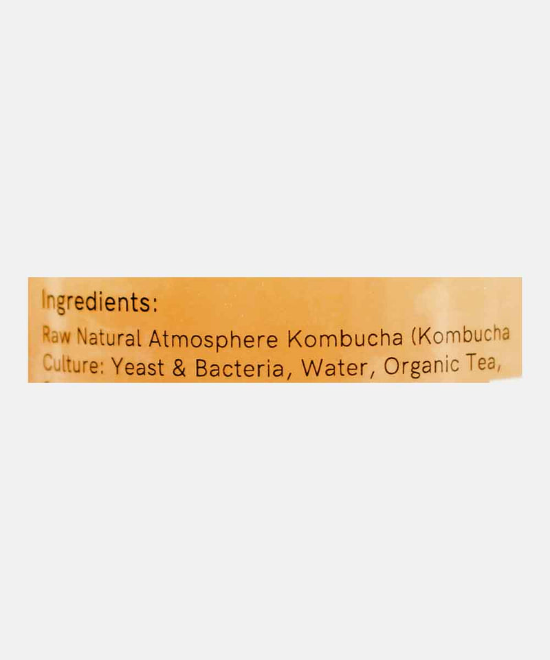 ATMOSPHERE SPARKLING PROBIOTIC SPICY GINGER KOMBUCHA TEA 210