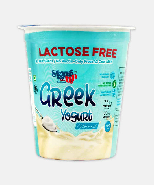 Skyr Up Greek Yogurt Natural Lactose Free 400 Gm