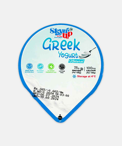 Skyr Up Greek Yogurt Natural Lactose Free 400 Gm