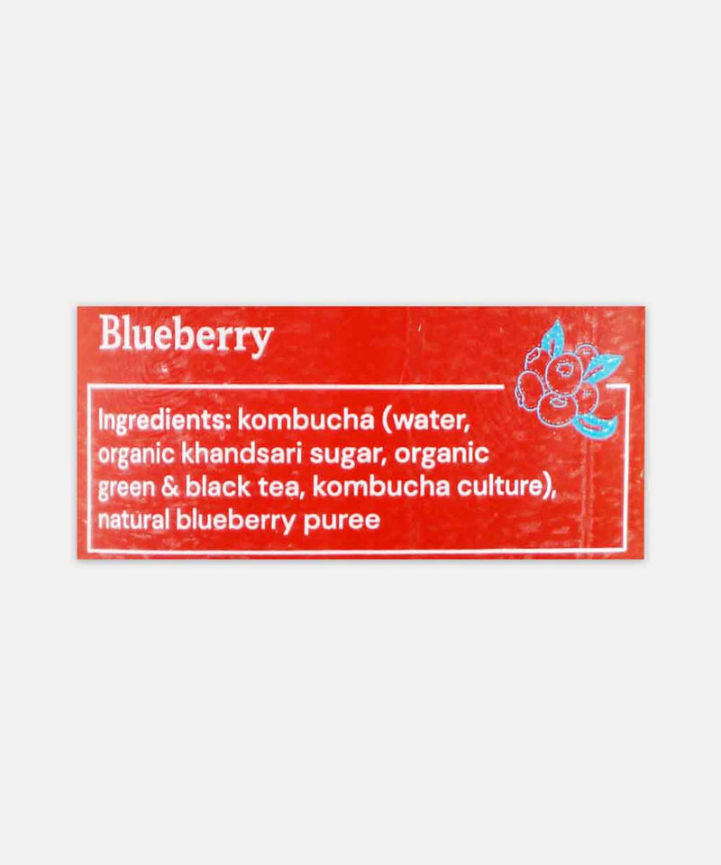 RISE UP KOMBUCHA BLUEBERRY 275 ML