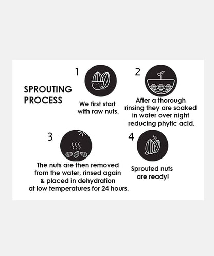 Sprouted Trail Mix 200 Gm