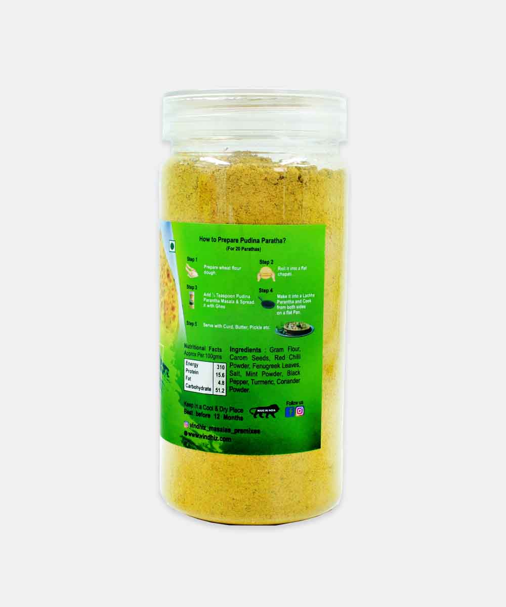 Vindhiz Pudina Paratha Masala 250 Gm