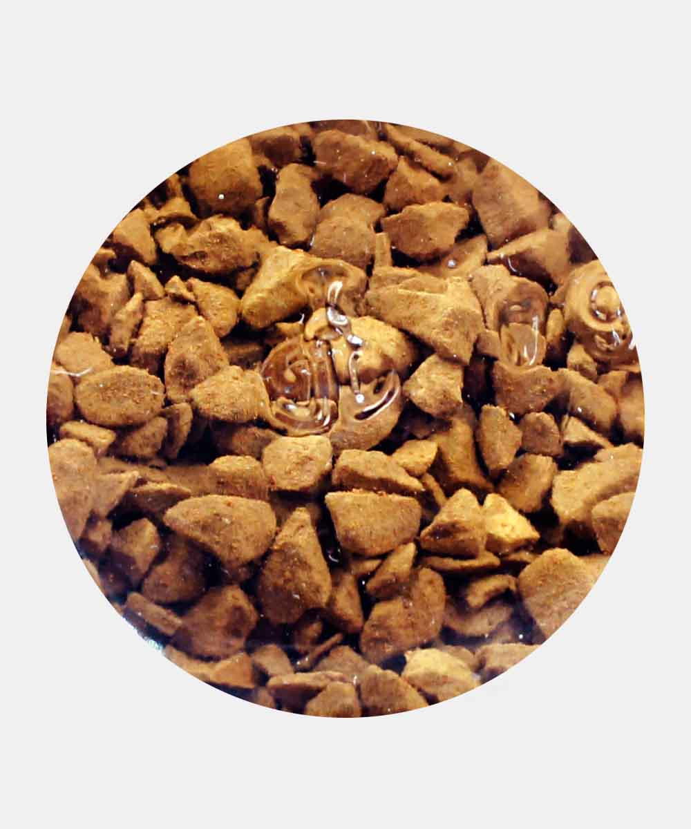 Bru Gold Edition Rich Flavour Freeze Dried Coffee 55 Gm