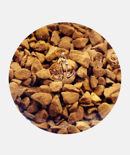 Bru Gold Edition Rich Flavour Freeze Dried Coffee 55 Gm