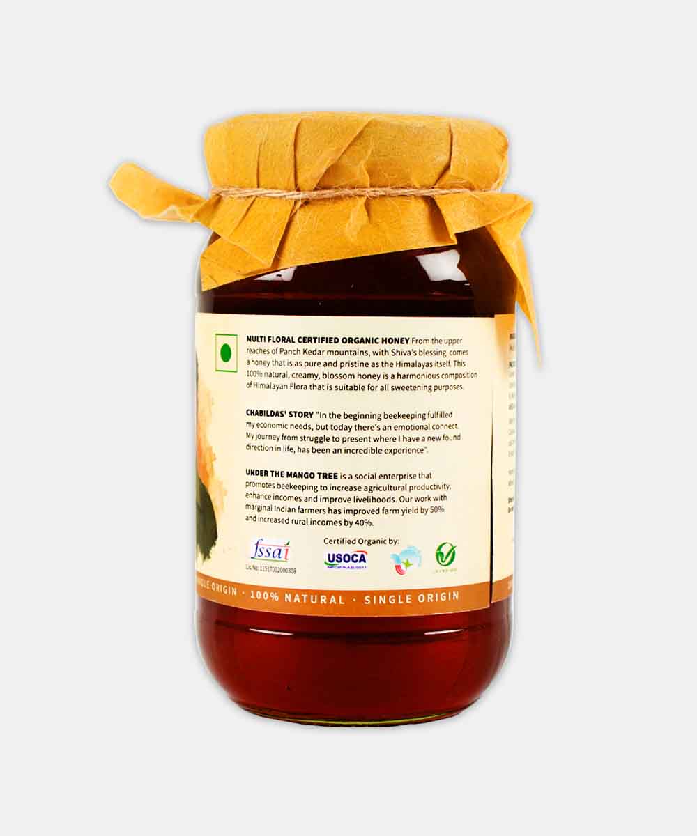 Mango Tree Organic Certified Honey 500 Gm