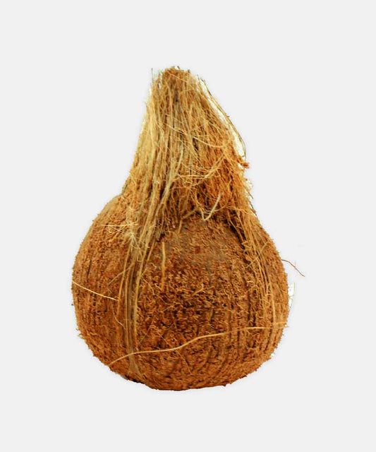 Coconut/Nariyal 1 Pc