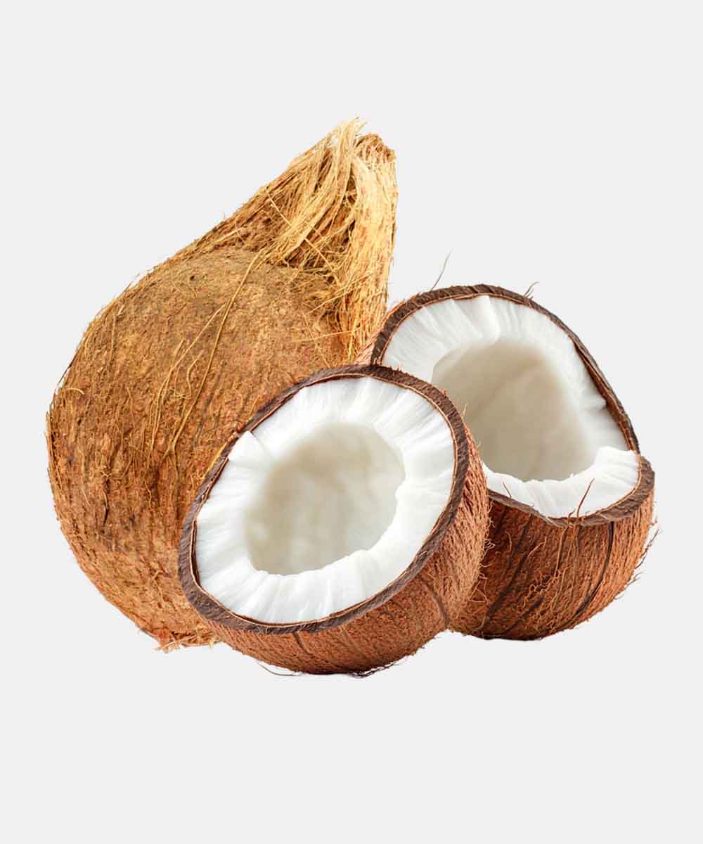 Coconut/Nariyal 1 Pc