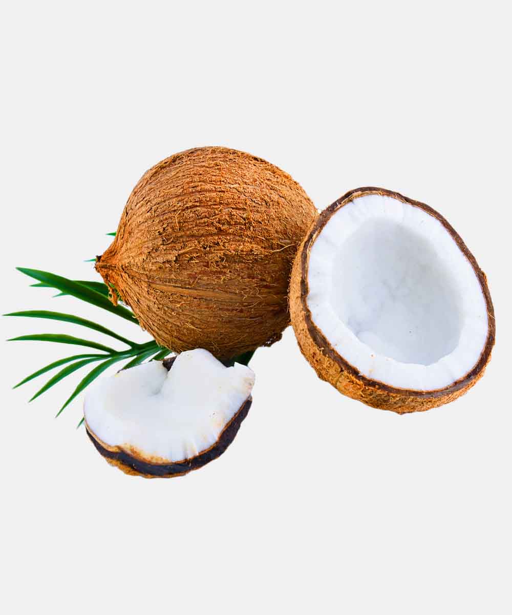 Coconut/Nariyal 1 Pc