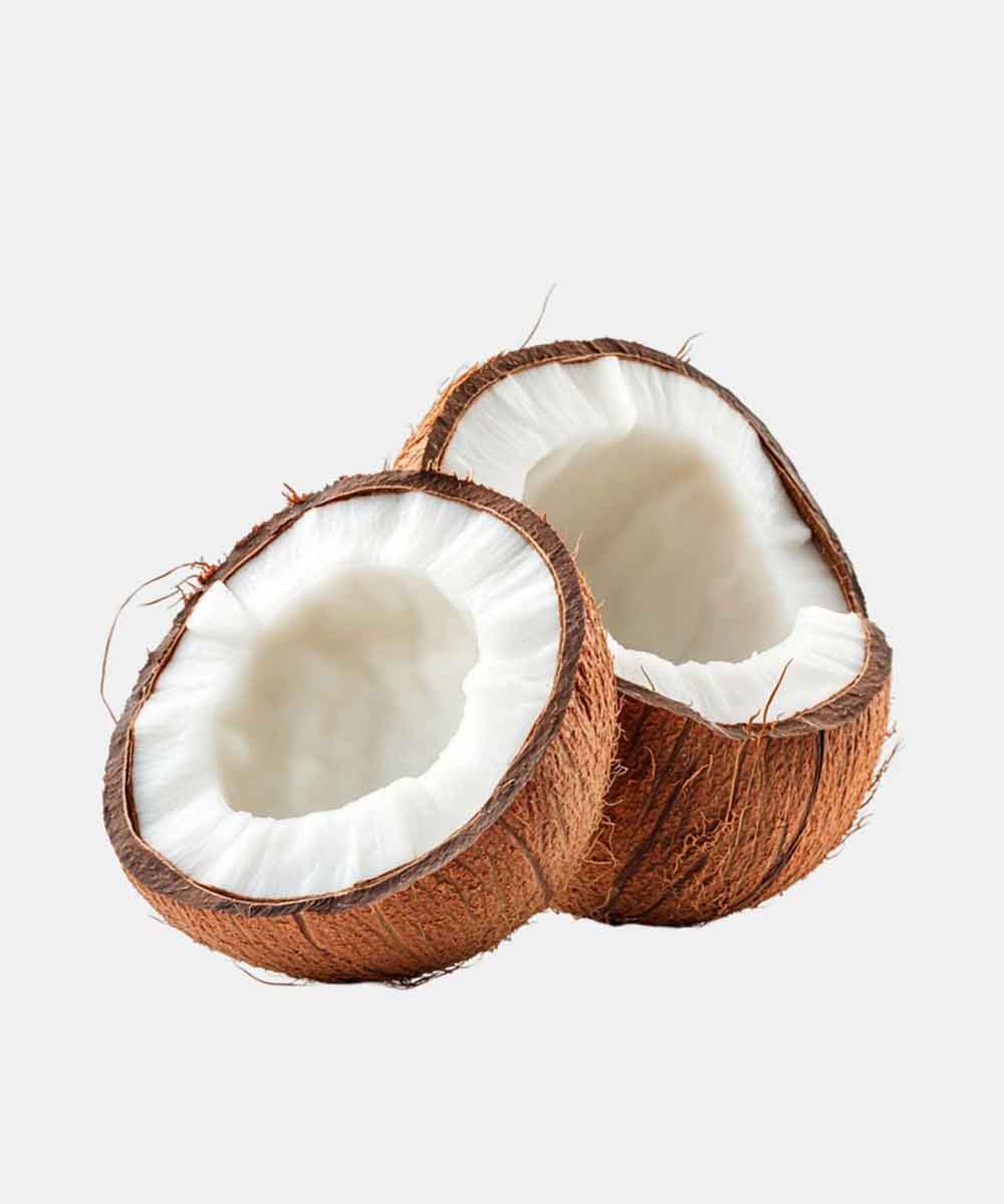 Coconut/Nariyal 1 Pc