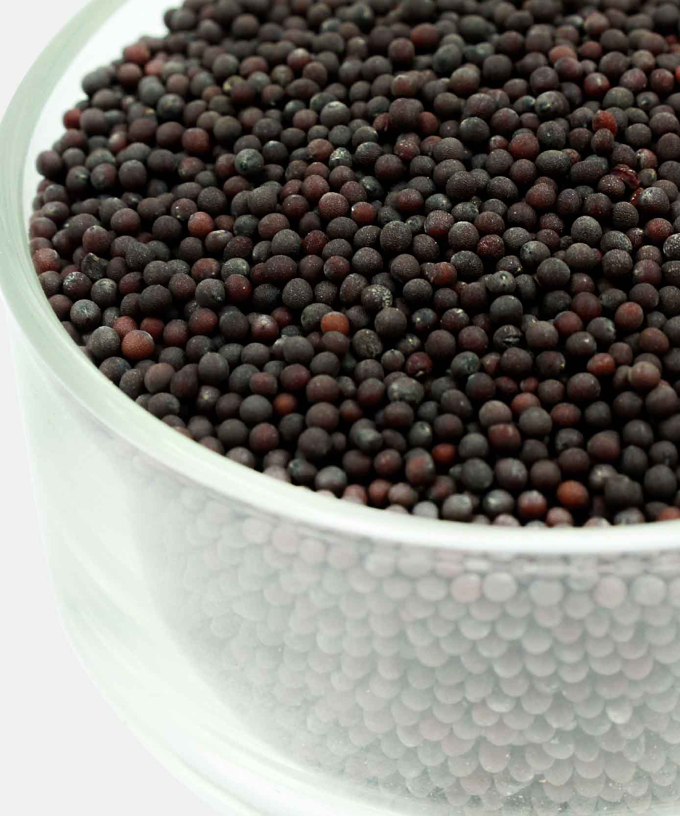 Whole Mustard Seeds/Rai/Sarson 100 Gm