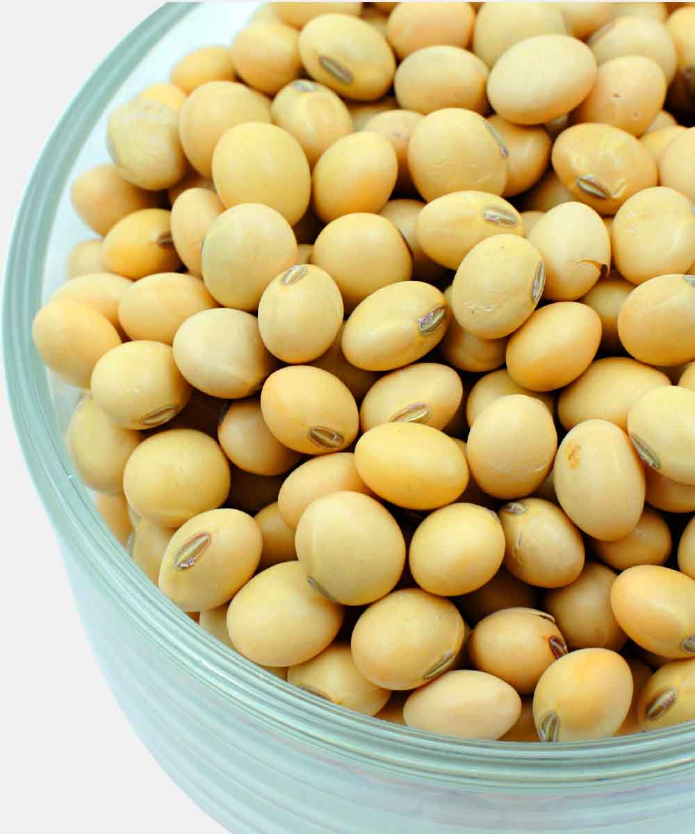 Soyabean/Soya Dana 250 Gm