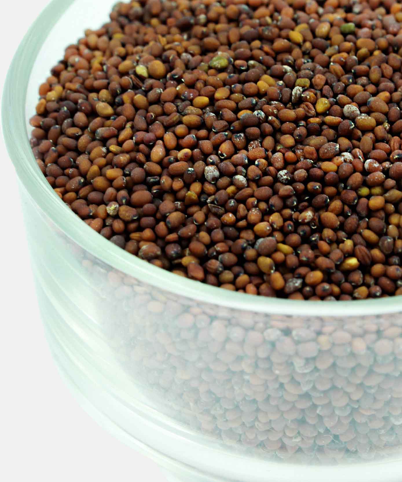 Red Mustard Lal Rai 100 Gm