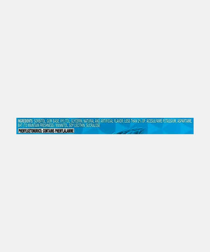Trident Chewing Gum Original Flavour 14 Stick