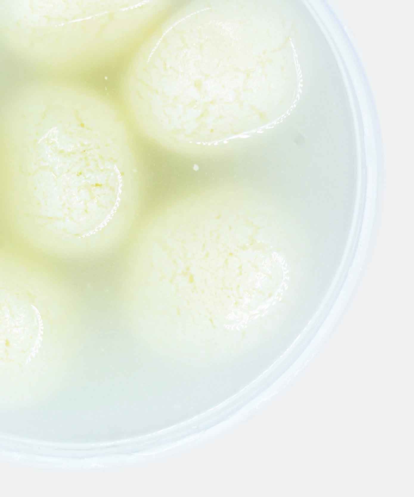 Rasgulla 6 Pc