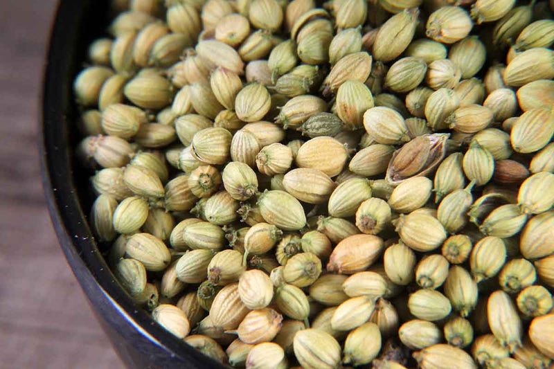 WHOLE CORIANDER/DHANIA SEEDS 100