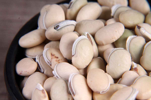 FIELD BEANS/SURTI VAAL 250