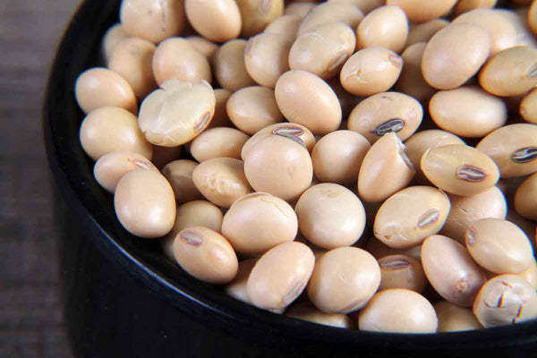 SOYABEAN/SOYA DANA 250