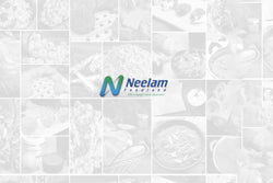 methi paratha masala 300 gm